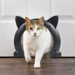 Chatière d'intérieur pour chats majestueux