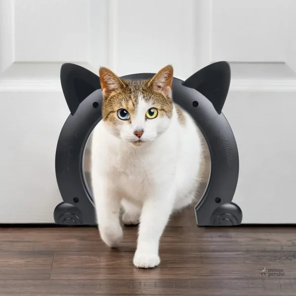 Chatière d'intérieur pour chats majestueux