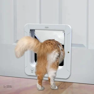 Porte connectée pour chats avec collier