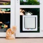 Chatière pour chat avec système d'étanchéité