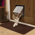 Porte pour chat avec verrouillage sécurisé