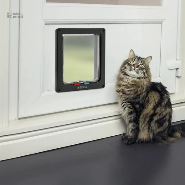 Accès facile pour votre chat avec Nuit Libre