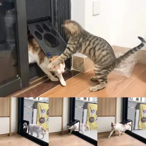 Chatière magnétique pour un accès facile aux chats