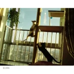 Corde naturelle pour projets d'arbres à chat