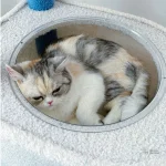 Design nuageux de l'arbre à chat NuageBleu