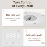 MiaouChef : solution pratique pour nourrir votre chat