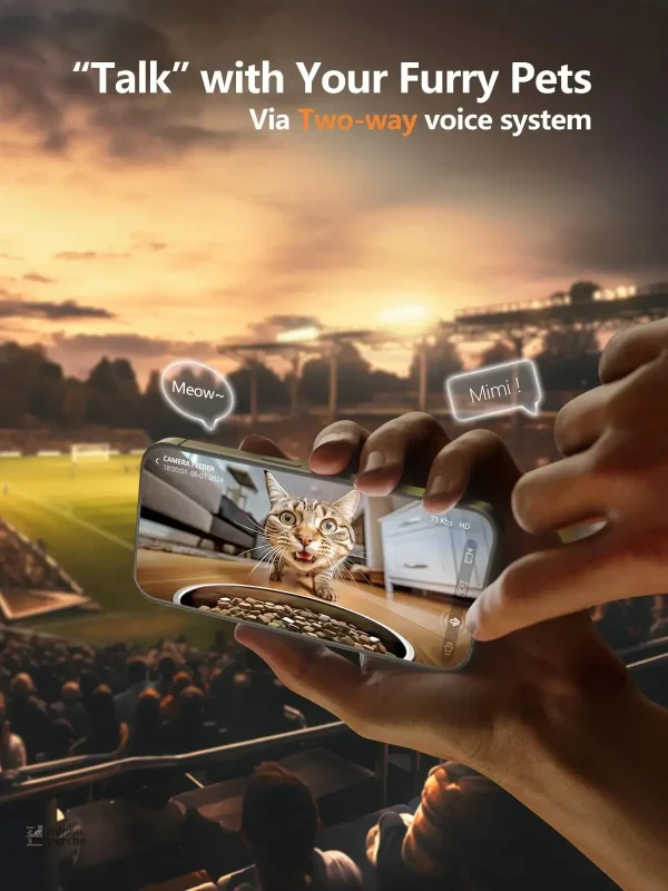 Caméra 1080p intégrée pour surveiller votre chat