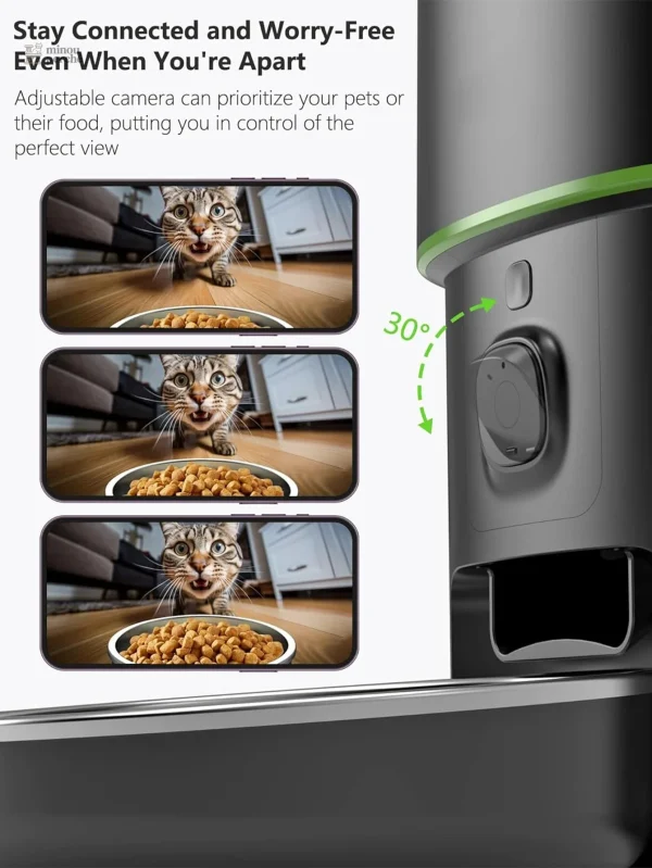 Distributeur de croquettes innovant pour chats