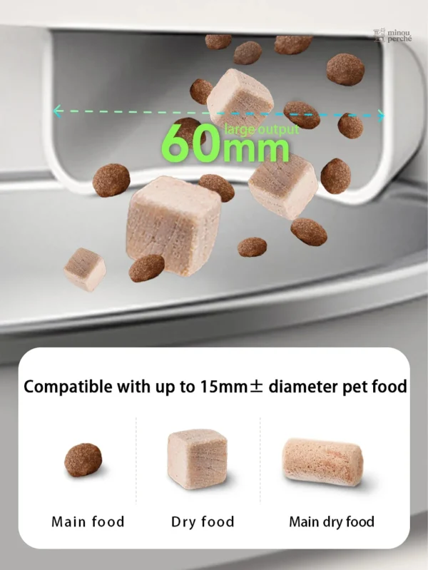 Contrôle des portions de nourriture pour chats
