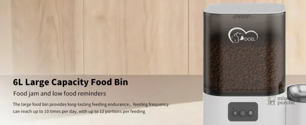 Solution d'alimentation pour chat avec fontaine