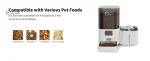Compagnon Zen : confort alimentaire pour votre chat