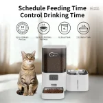 Compagnon Zen : distributeur automatique de croquettes