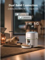 Caméra 1080P pour surveiller votre chat à distance