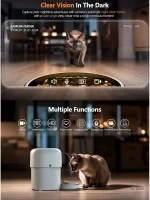 Alimentation programmée pour un chat heureux et sain