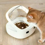 Distributeur intelligent pour chat "MiaouProtect