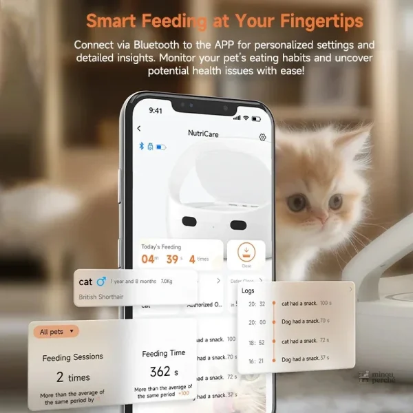 Distributeur automatique pour pâtée pour chat