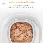 MiaouProtect : repas frais pour chats