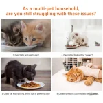 Solution de repas contrôlée pour chat avec pâtée