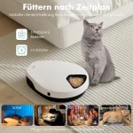 Distributeur de nourriture humide et croquettes pour chat