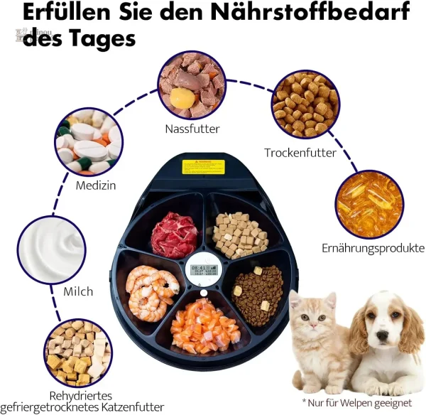 Appareil pratique pour repas frais de votre chat