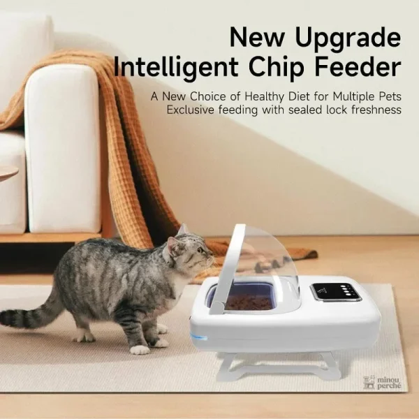 Distributeur de pâtée à reconnaissance intelligente
