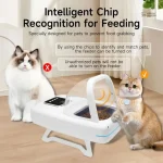 MiaouSélect : solution pour régime alimentaire chat
