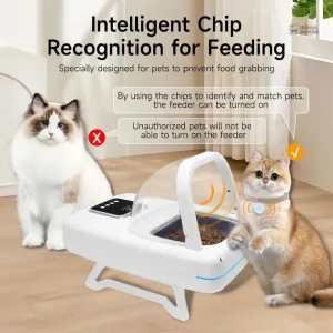 MiaouSélect : solution pour régime alimentaire chat
