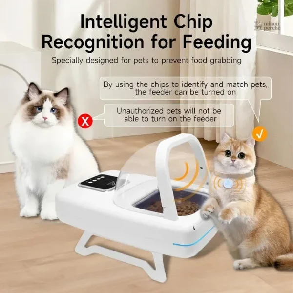 MiaouSélect : solution pour régime alimentaire chat