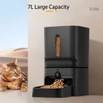Caméra pour surveiller votre chat à distance