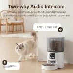 MiaouVision : distributeur intelligent pour le bien-être félin