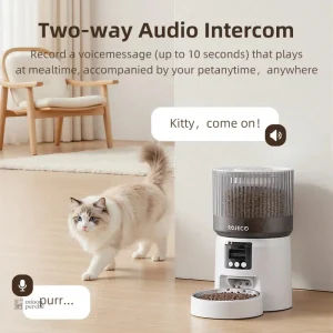 MiaouVision : distributeur intelligent pour le bien-être félin