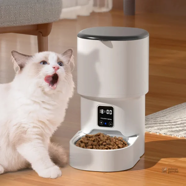Surveillance de votre chat avec caméra et distributeur