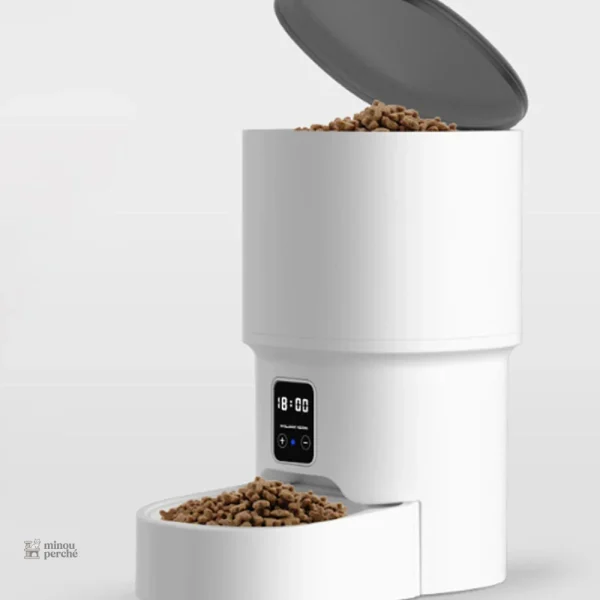 MiaouVision : alimentation autonome pour chats modernes