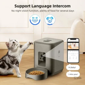 Modèle "Lien Quotidien" pour un usage quotidien