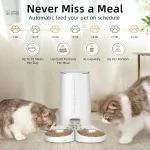MiaouConnect : alimentation automatique et connectée