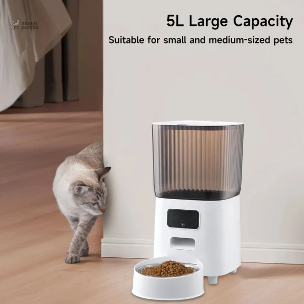 Distributeur de croquettes connecté pour animaux
