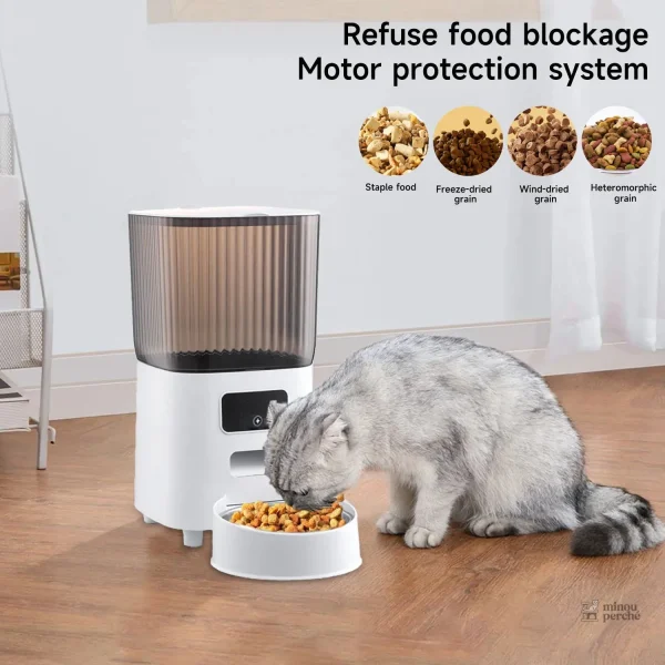 Repas pour chat avec distributeur automatique intelligent
