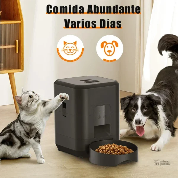 Distributeur de nourriture pour chat connecté