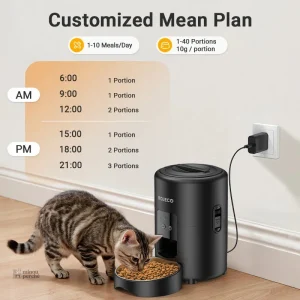 Modèle Routine Maline pour alimentation pratique