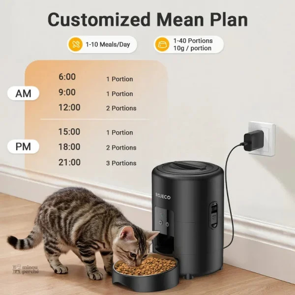 Modèle Routine Maline pour alimentation pratique