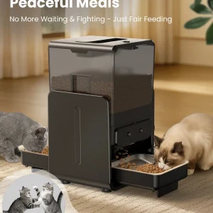 Distributeur automatique MiaouPartage pour chat