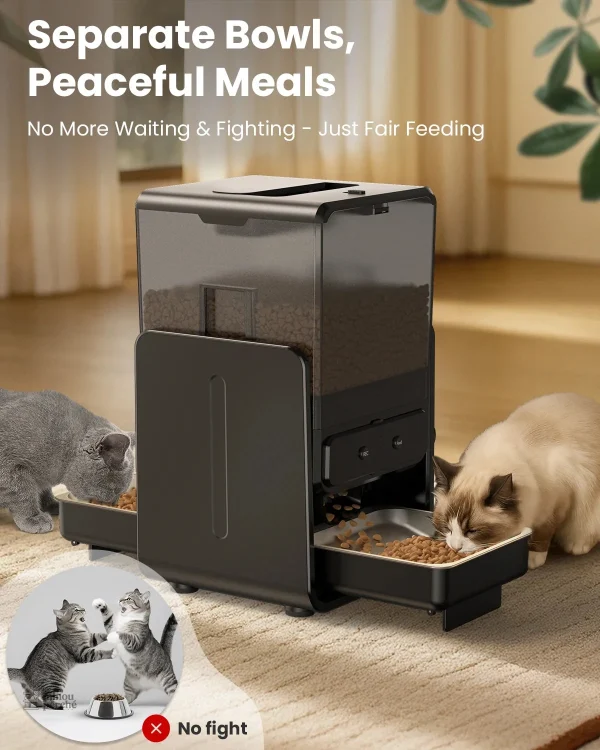 Distributeur automatique MiaouPartage pour chat
