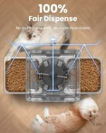 Double gamelle pour repas paisible de votre chat