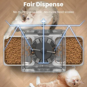 Double gamelle pour repas paisible de votre chat