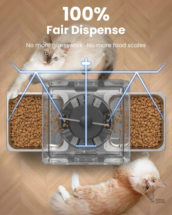 Double gamelle pour repas paisible de votre chat