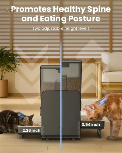 MiaouPartage : alimentation autonome pour chats