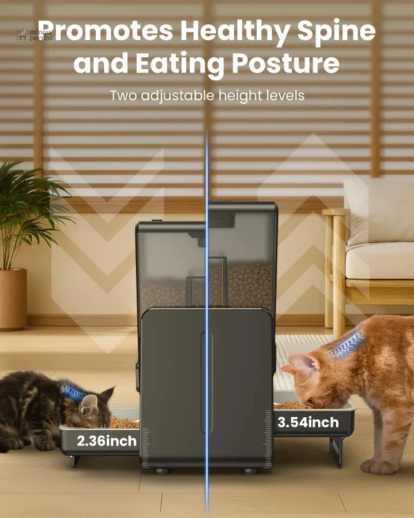 MiaouPartage : alimentation autonome pour chats