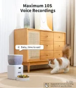 Modèle "Grande Sérénité" pour chats exigeants