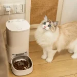 Alimentation automatique pour chats, pratique et efficace