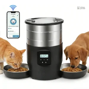 Distributeur automatique MiaouRythme pour chat